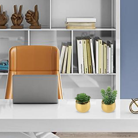 Briful succulent plants for office desks provide a natural look with no upkeep.