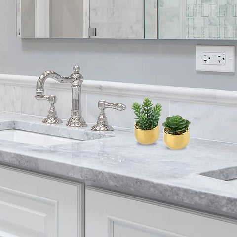 Briful decorative mini plants for bathrooms and kitchens add color effortlessly.