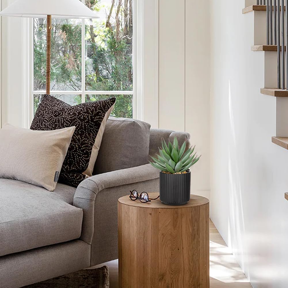 Briful shelf decor succulent arrangement enhances modern farmhouse aesthetics.