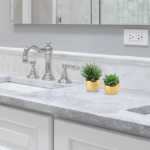 Briful succulents on a display shelf for stylish interiors