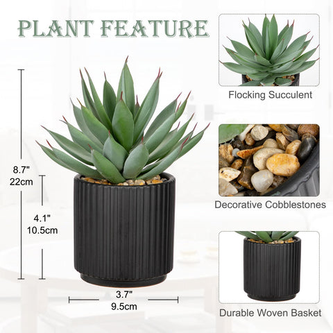 Briful white ceramic pots showcase lifelike succulents for elegant room accents.