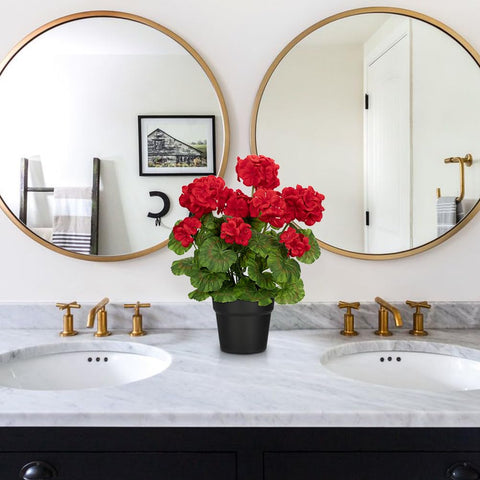 Briful geranium display for Valentine’s Day décor and seasonal accents.