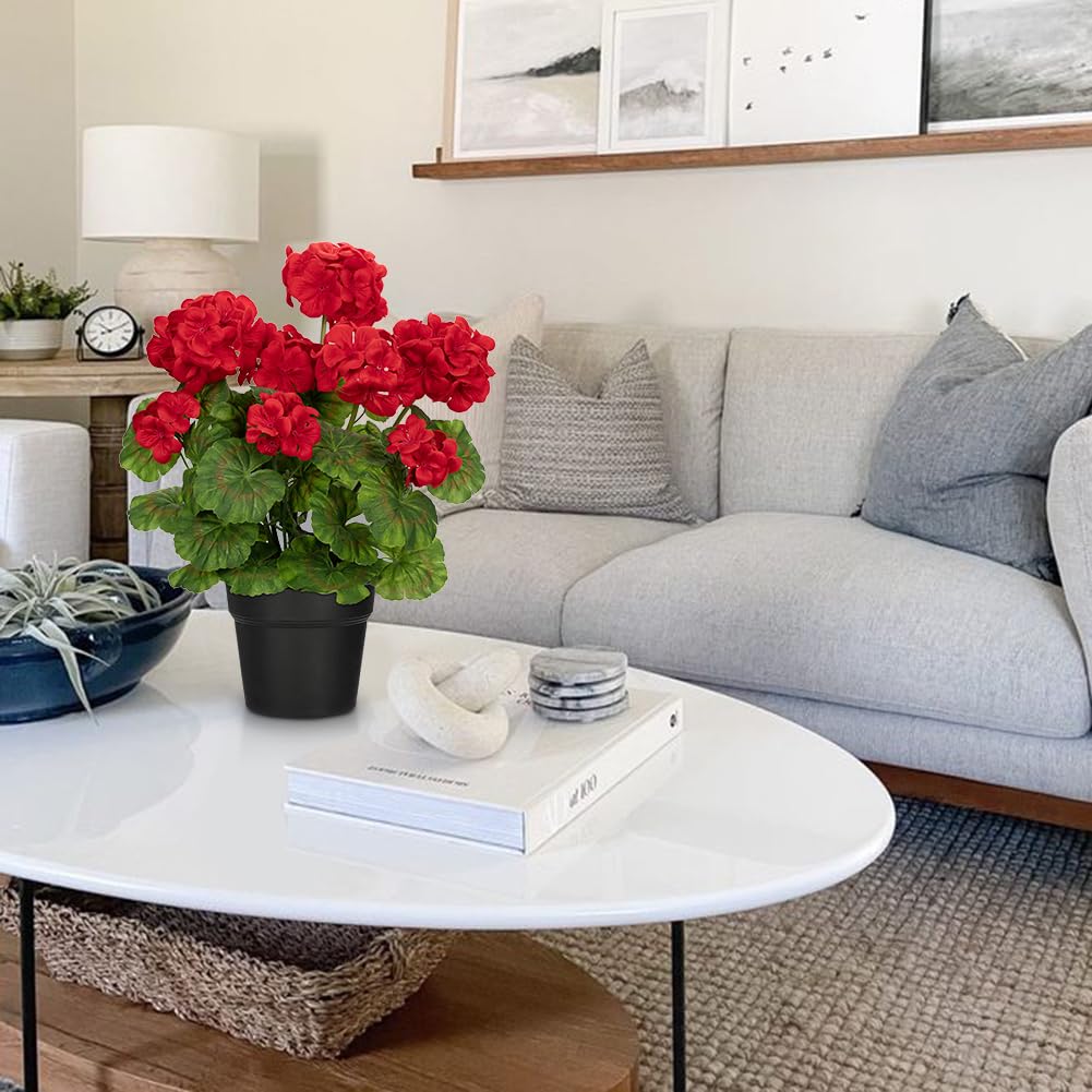 Briful leaves vibrant green with red accents, adding a fresh pop to any space.