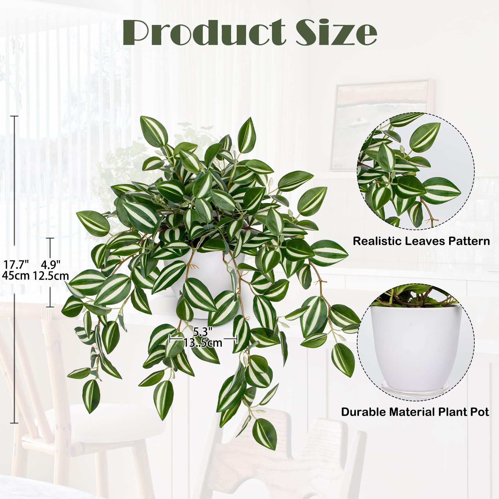 Briful Watermelon Peperomia cascading vine close-up highlights realistic leaves for natural-looking decor.