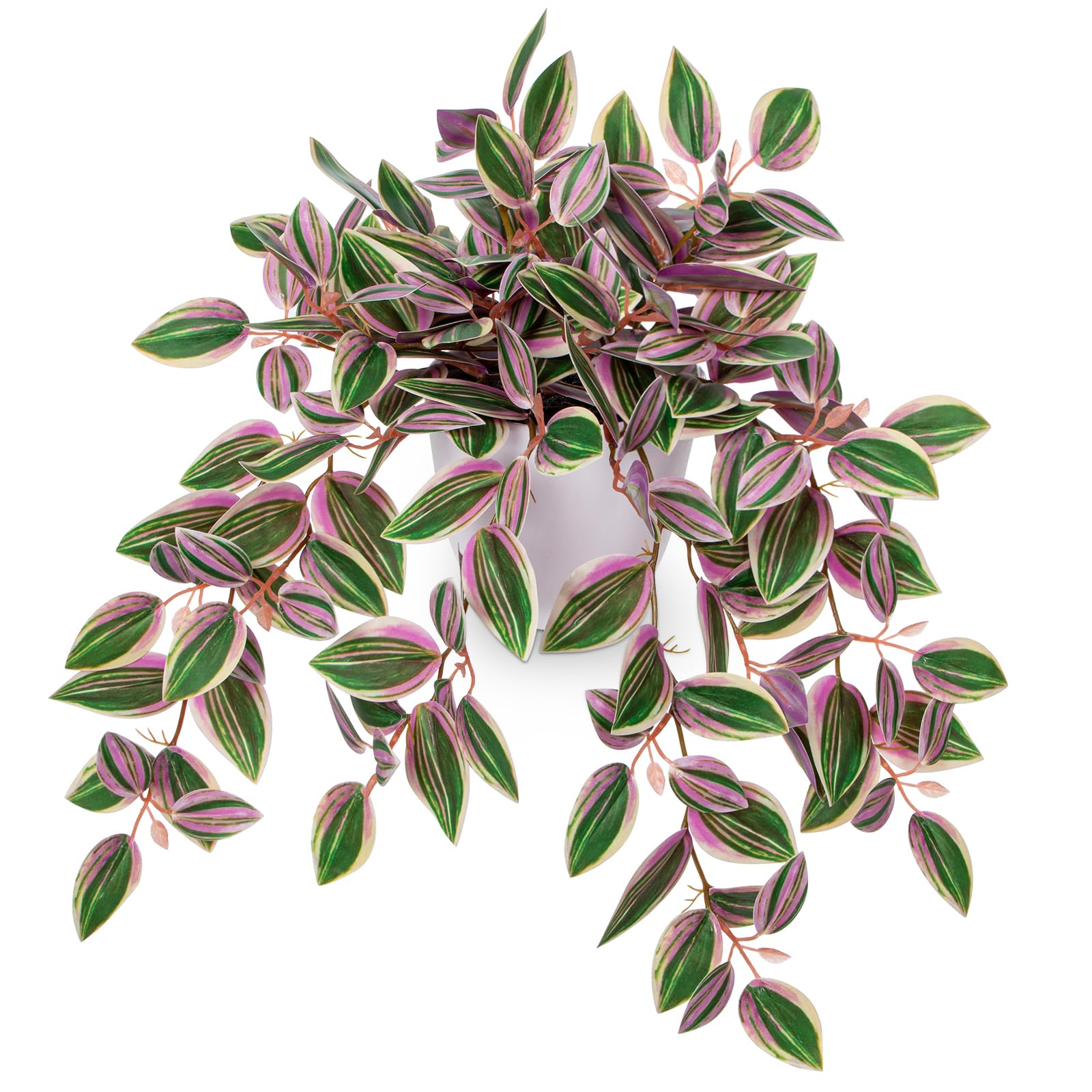 Briful Watermelon Peperomia pink hanging plant adds color to small spaces
