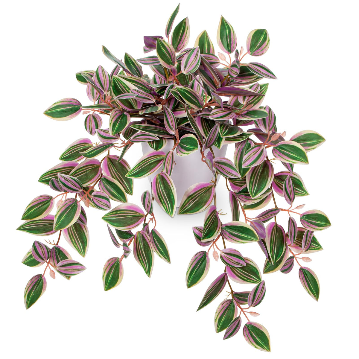 Briful Watermelon Peperomia pink hanging plant adds color to small spaces