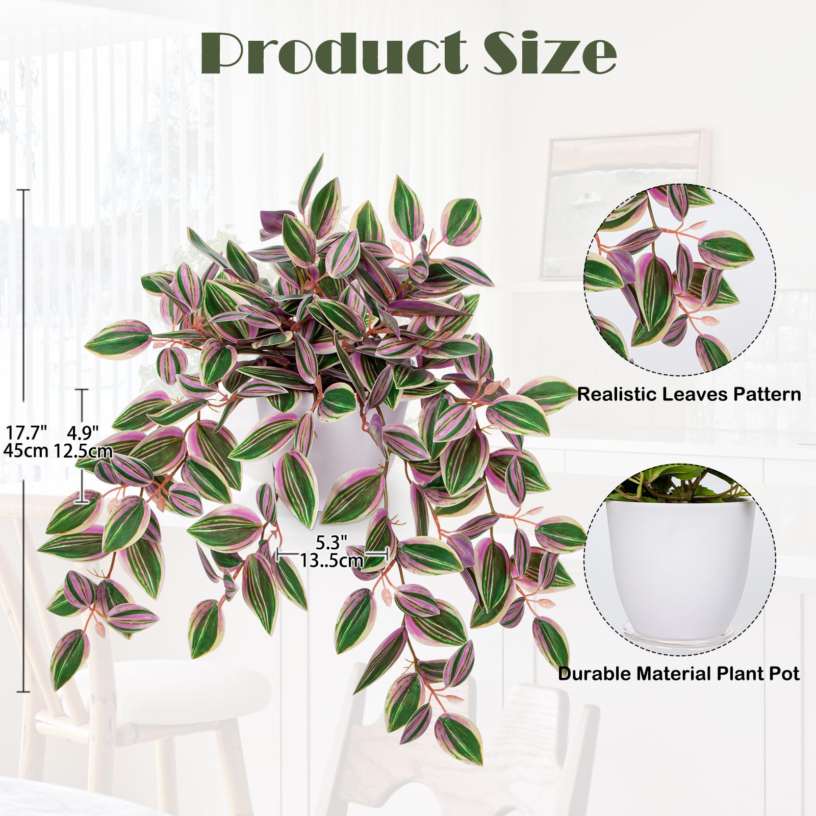 Briful Watermelon Peperomia pink variegation closeup shows natural-looking texture