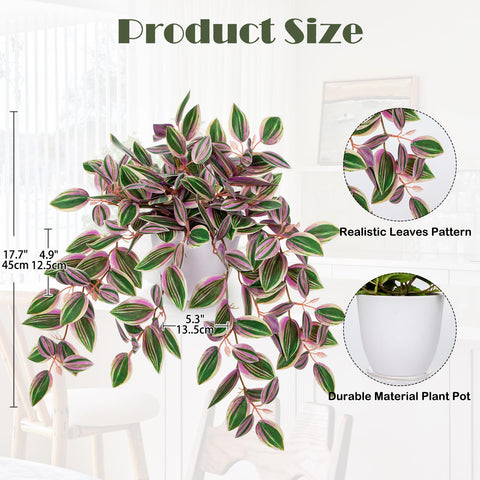 Briful Watermelon Peperomia pink variegation closeup shows natural-looking texture