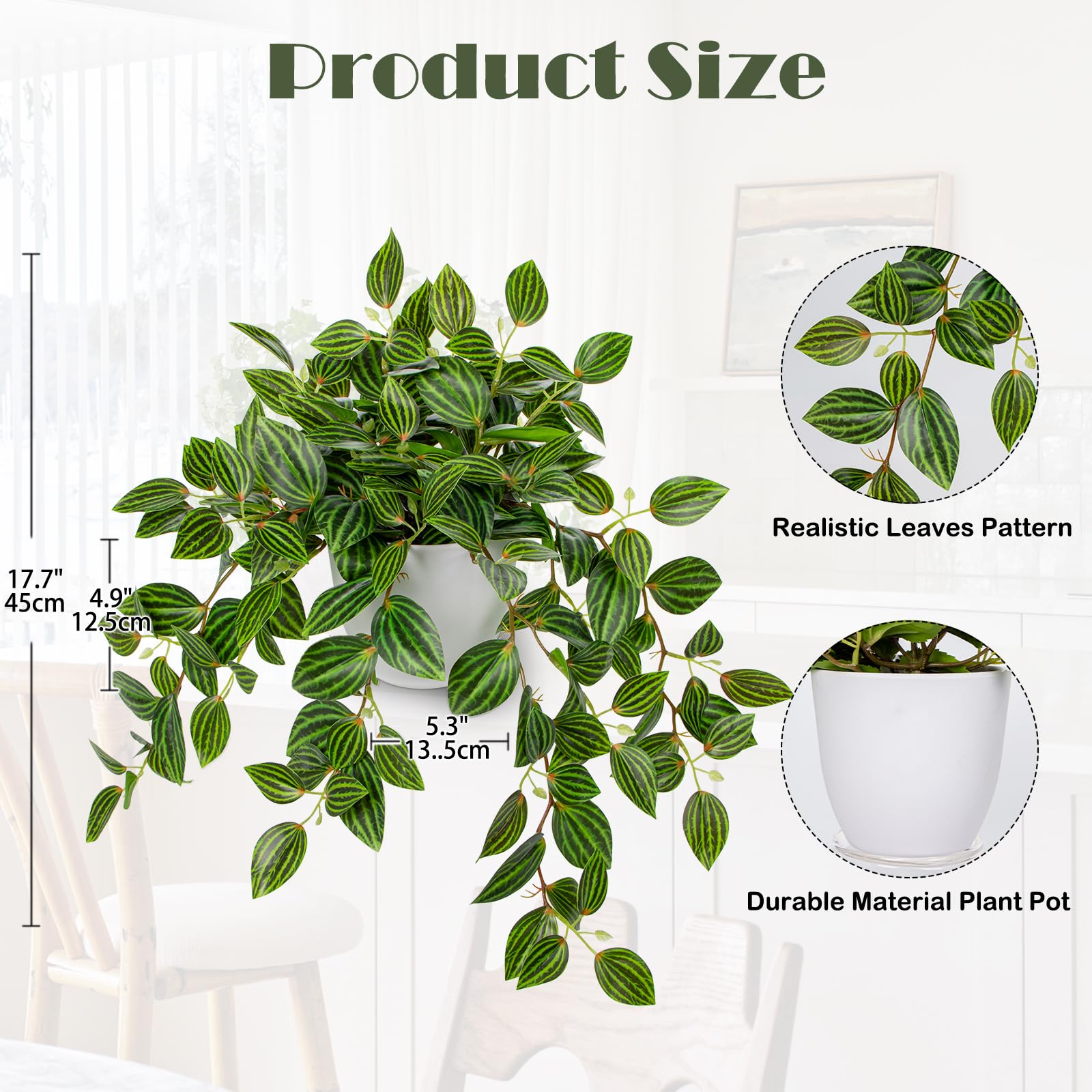 Briful Watermelon Peperomia silk plant with draping leaves for decor.