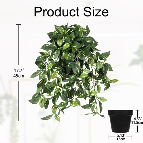 Briful Watermelon Peperomia silk leaves close-up showcases lifelike texture and realistic variegation.
