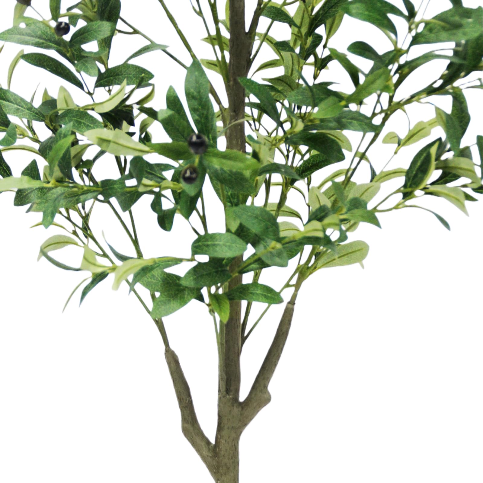 Brsazee olive tree three-section assembly for quick setup