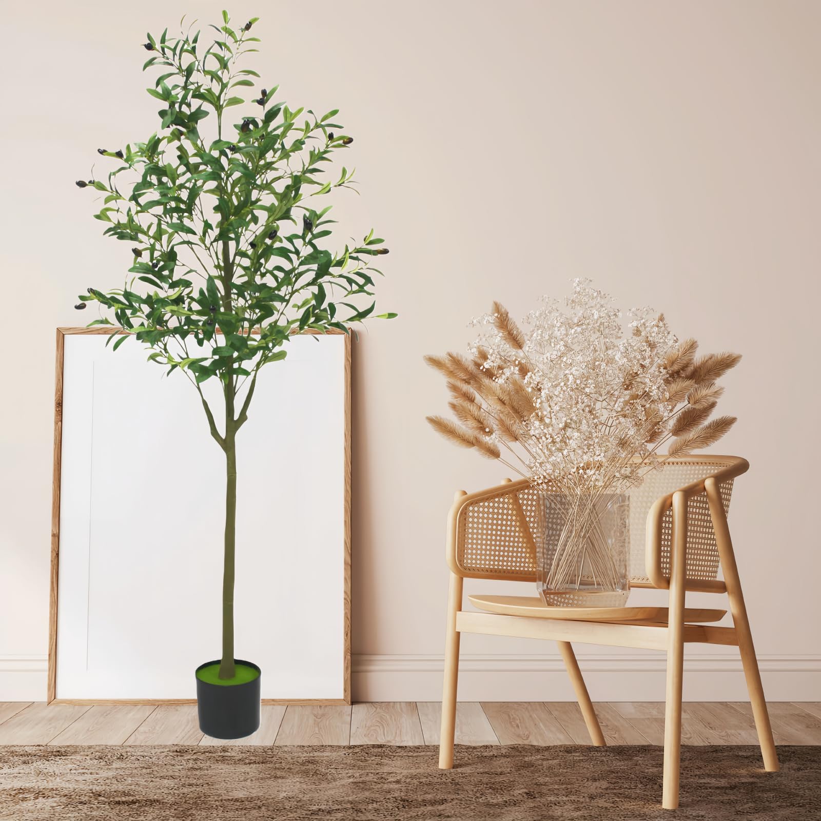 Brsazee olive tree placed indoors and outdoors with versatility