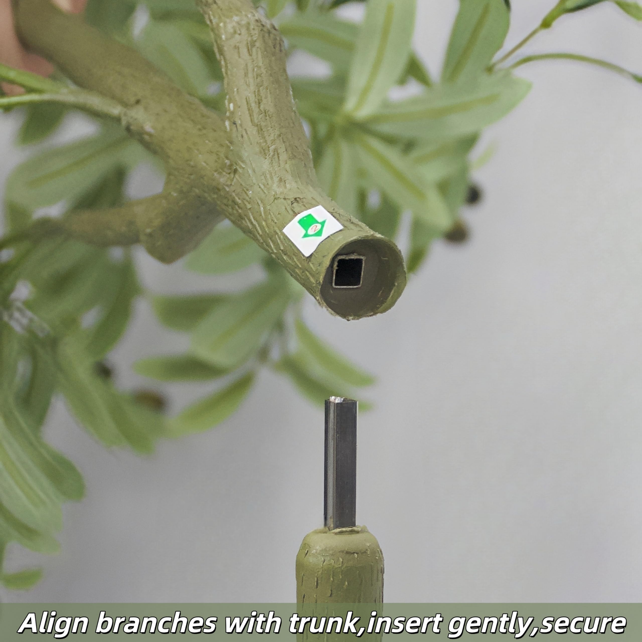 Brsazee olive tree UV-resistant materials preserve color in sun