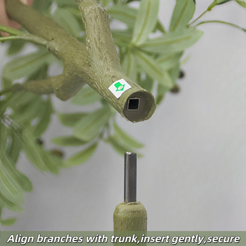 Brsazee olive tree UV-resistant materials preserve color in sun