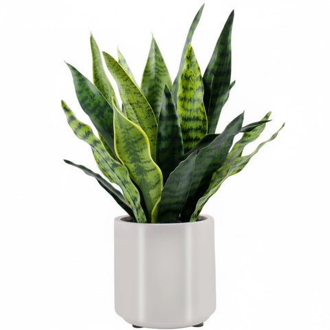 BTHM DSGN artificial Sansevieria leaves close-up with realistic texture for maintenance-free decor