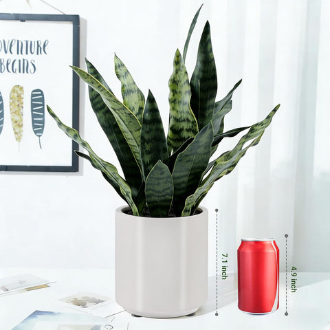 BTHM DSGN maintenance-free artificial plant suitable for busy homes