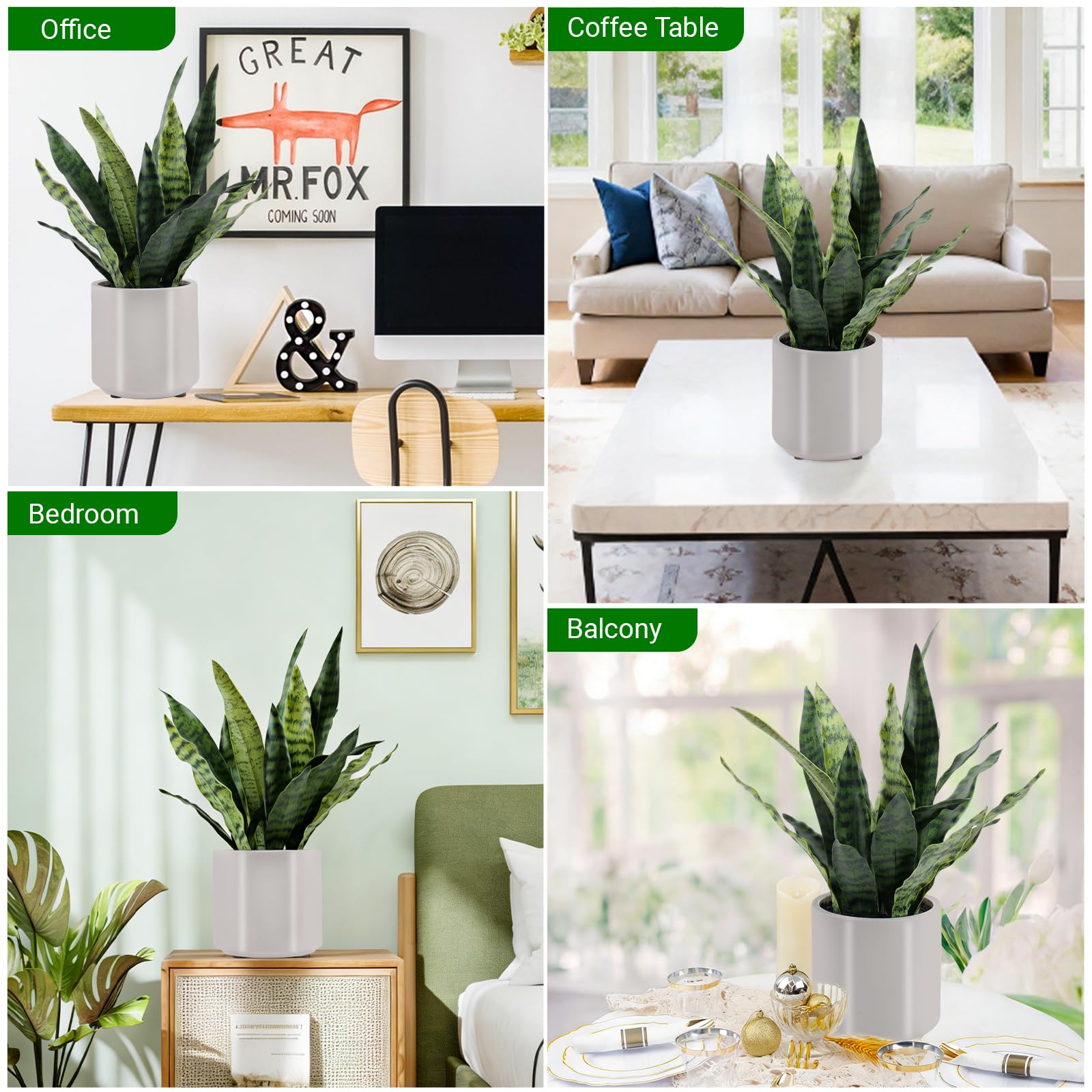 BTHM DSGN artificial snake plant in office setting for a professional vibe