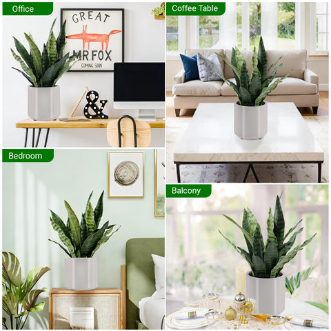 BTHM DSGN artificial snake plant in office setting for a professional vibe