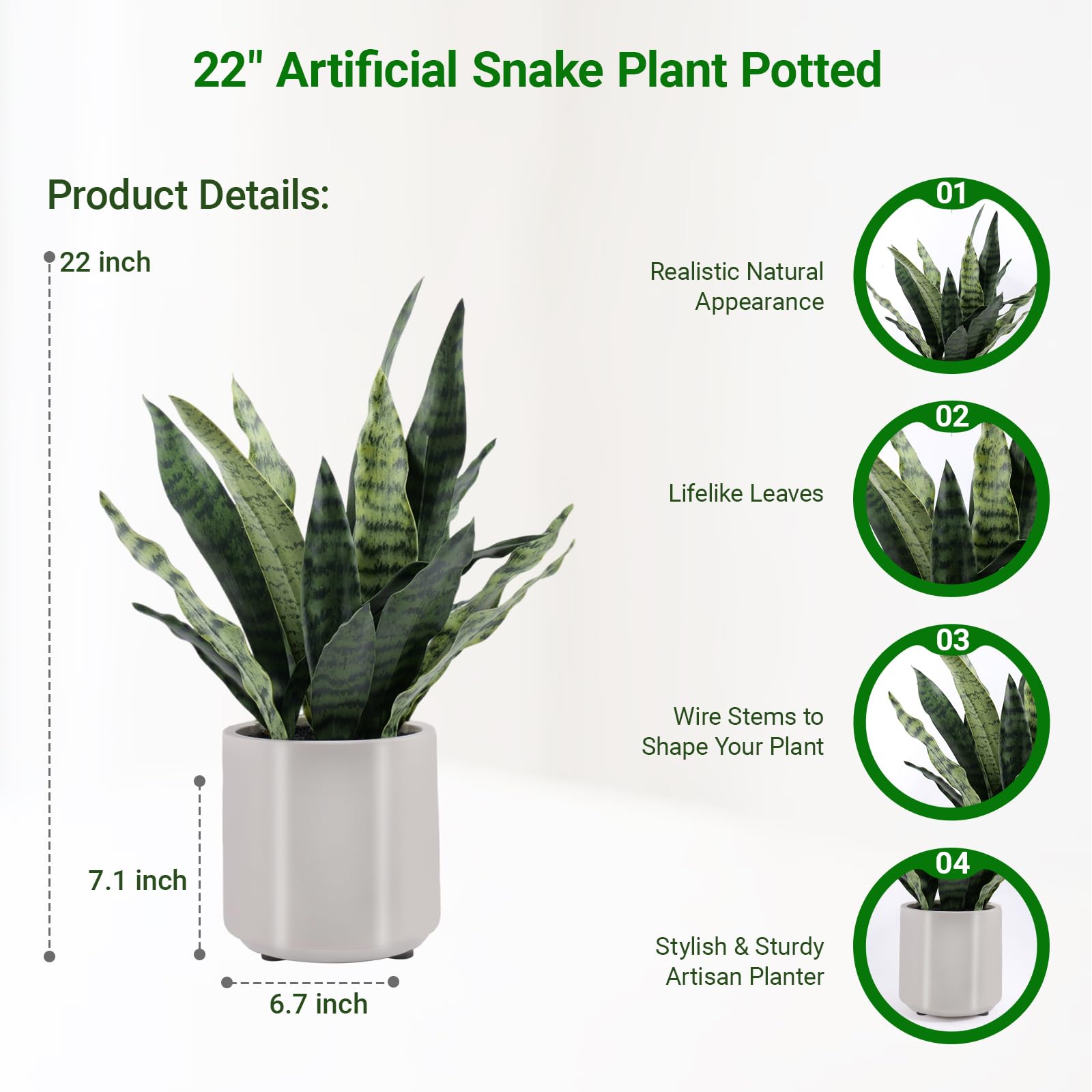 BTHM DSGN 22-inch snake plant in pot showing sturdy upright form