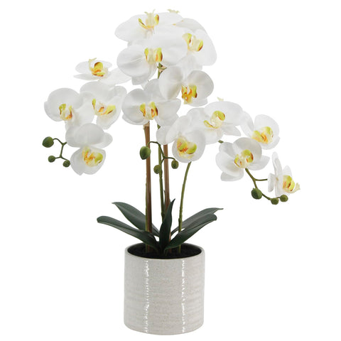 BTHM DSGN artificial orchid close-up shows lifelike bloom for elegant decor