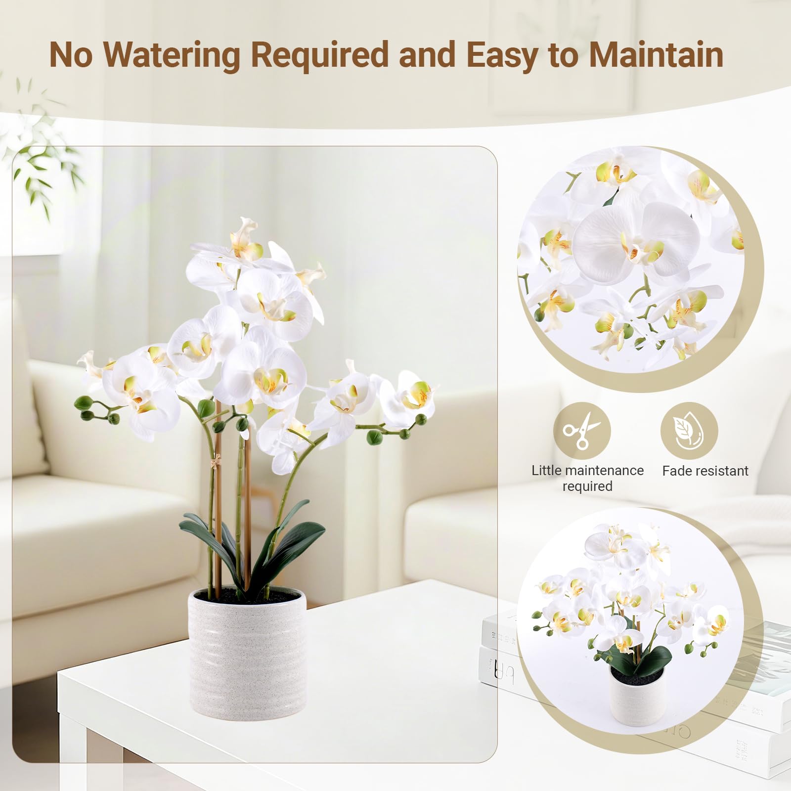 BTHM DSGN orchid leaves with waxy coating enhance natural greenery