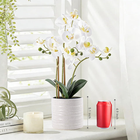 BTHM DSGN orchid office desk setup brings greenery with no maintenance