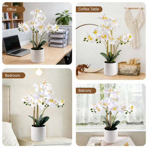 BTHM DSGN orchid pot and stand provide a tall, stable focal point