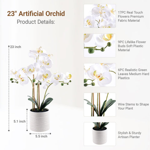 BTHM DSGN orchid stem and petals highlight realistic texture and form