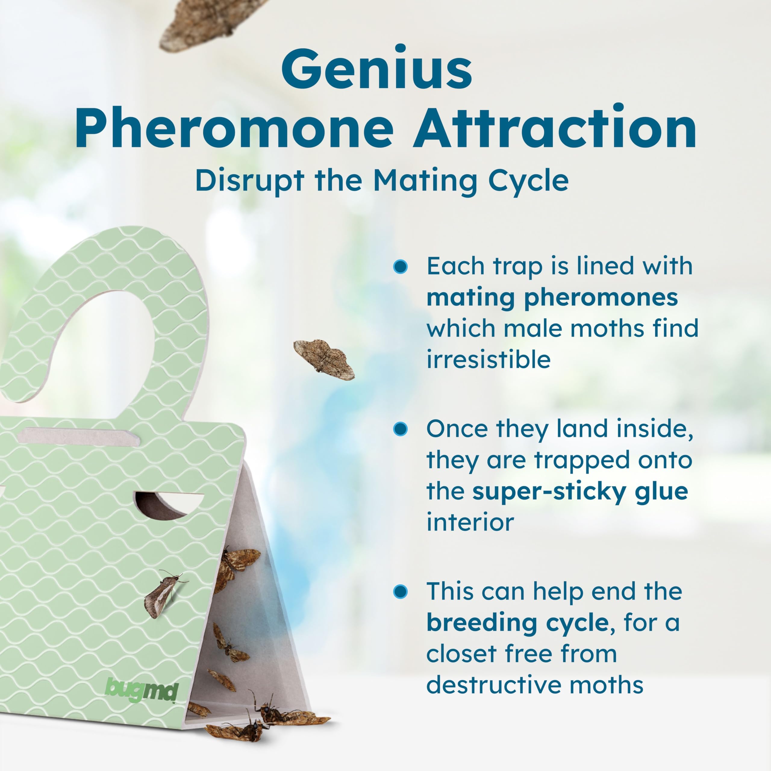 BugMD long-lasting moth traps stay active for weeks.