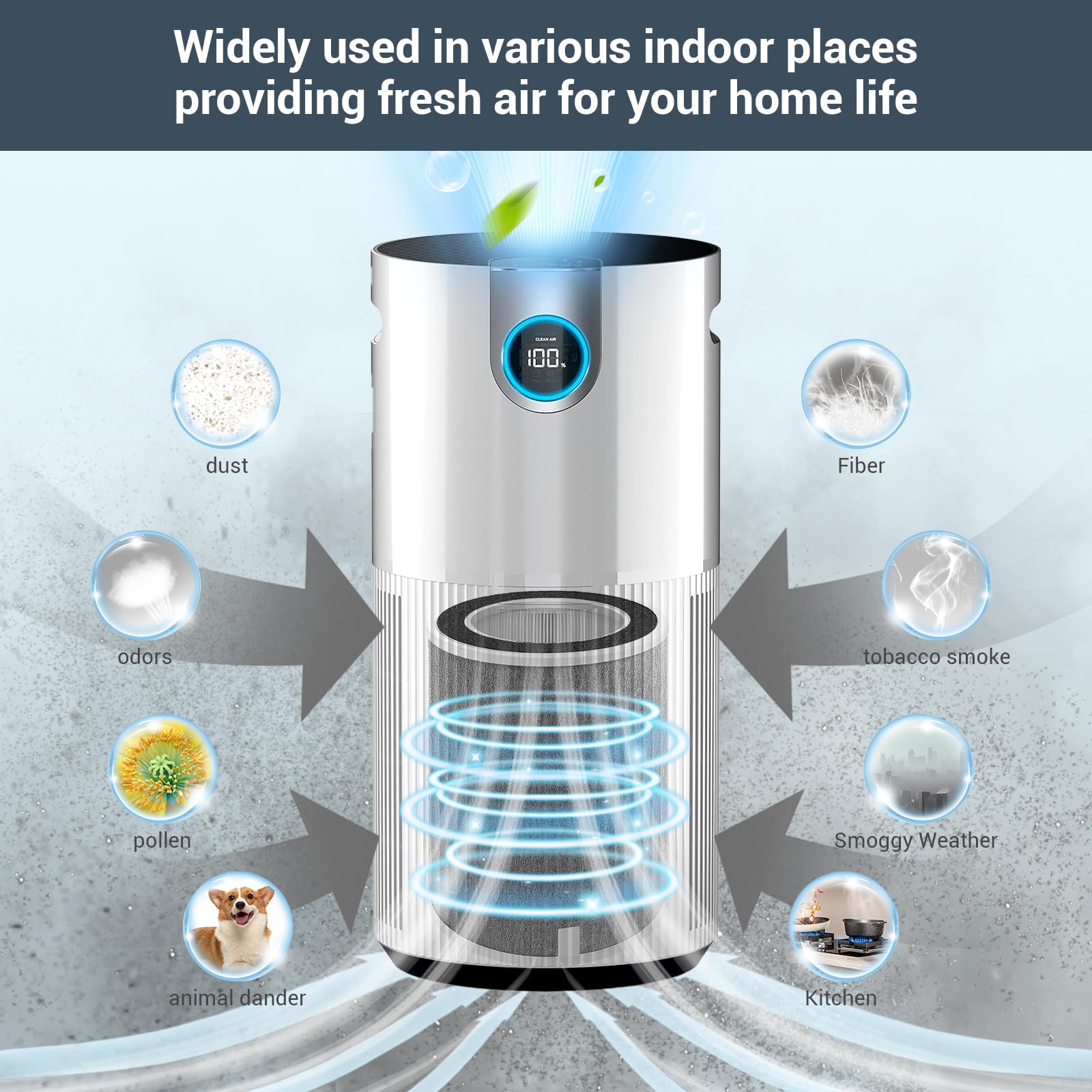 BUXEBUX HP201 filter carbon layer detail reduces odors.
