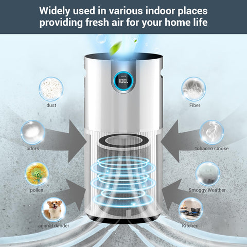 BUXEBUX HP201 filter carbon layer detail reduces odors.