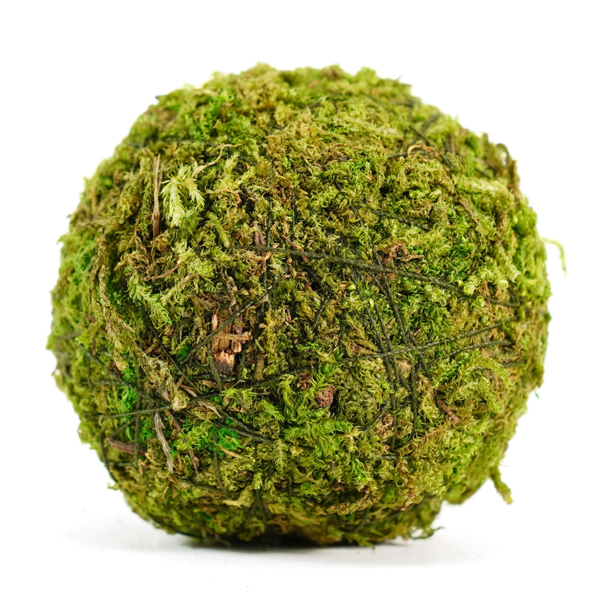 BYHER centerpiece styling with moss and rattan for DIY decor ideas.