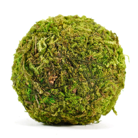 BYHER centerpiece styling with moss and rattan for DIY decor ideas.
