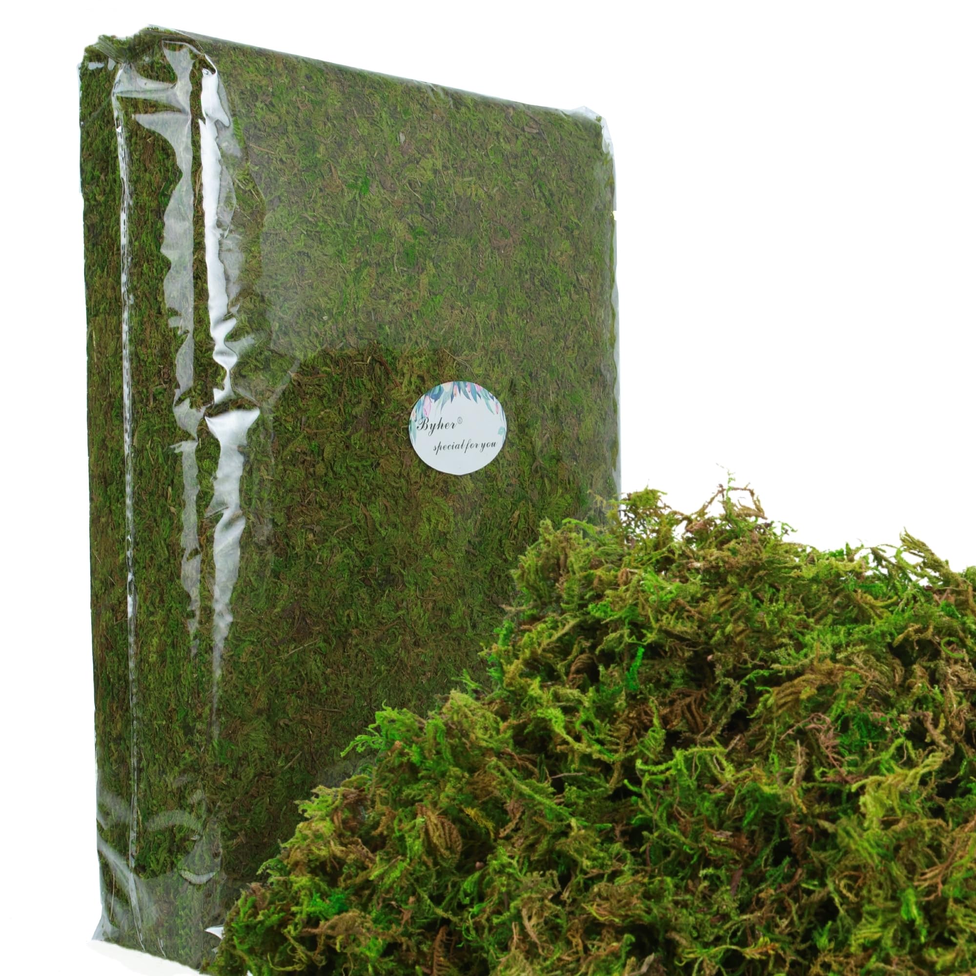 BYHER fairy garden moss provides realistic woodland look for indoor displays