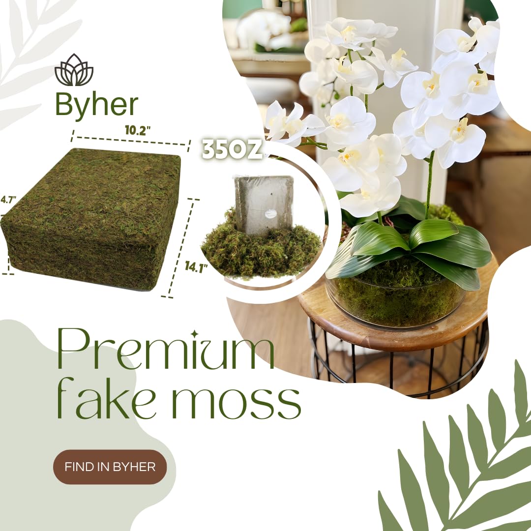 BYHER moss in a fairy garden arrangement for vibrant green accents