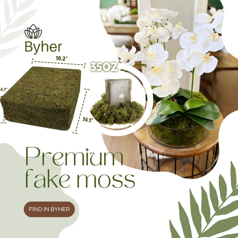 BYHER moss in a fairy garden arrangement for vibrant green accents
