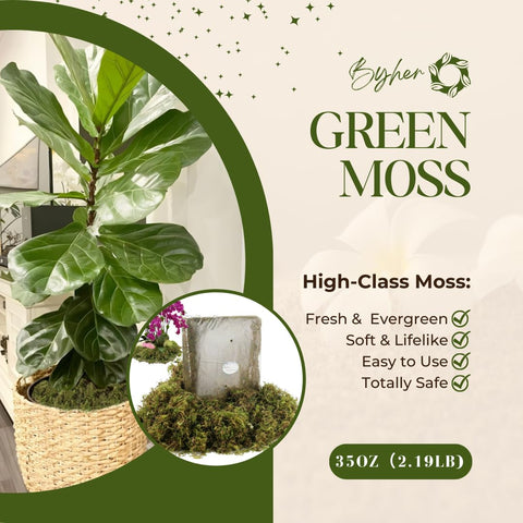 BYHER artificial moss texture close-up highlighting lifelike color and soft feel
