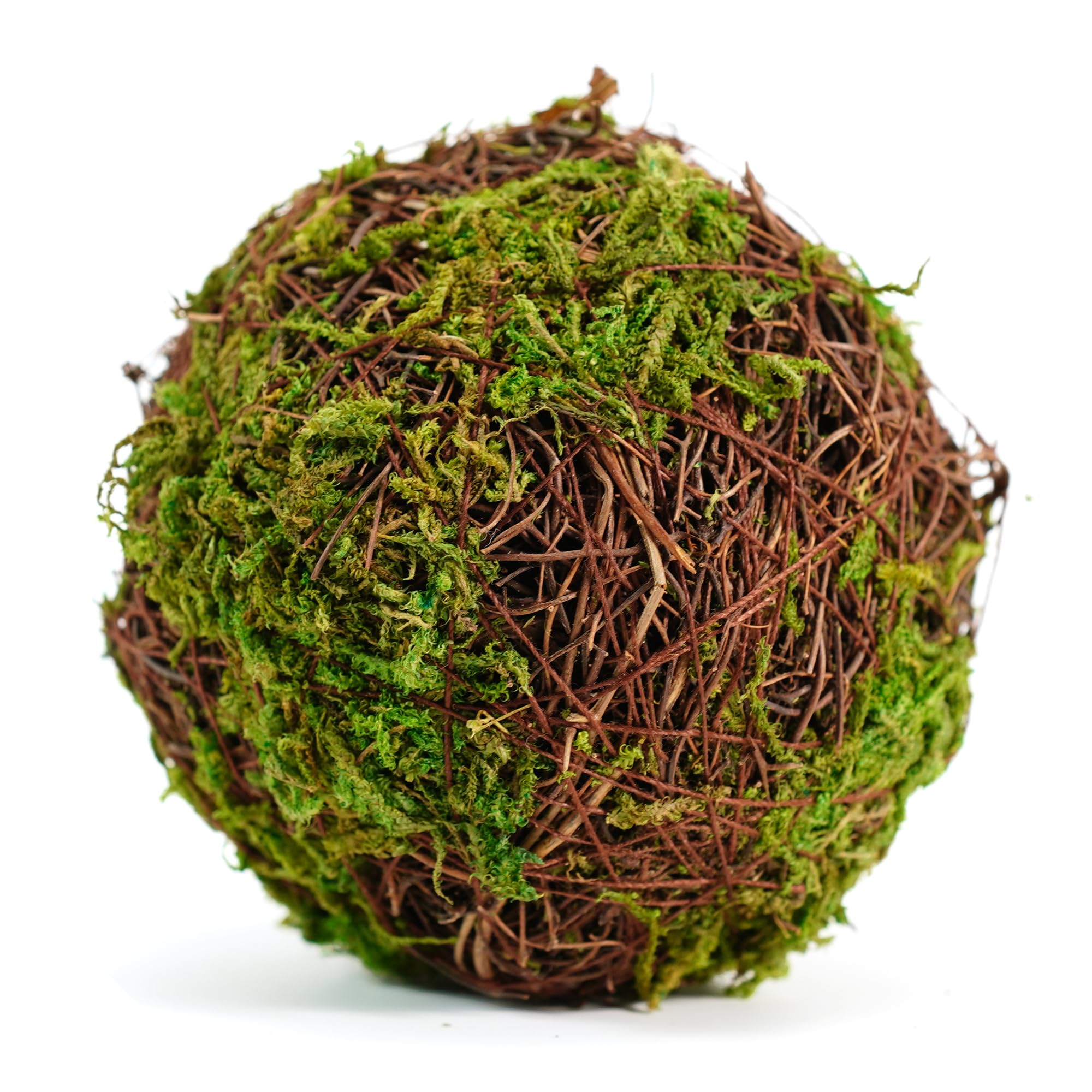 BYHER green moss balls provide vibrant, upkeep-free accents for any display.