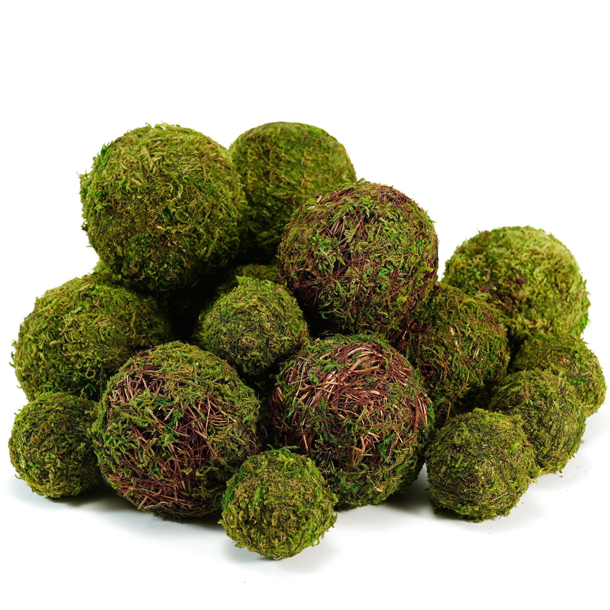 BYHER moss balls for elegant centerpieces with low-maintenance appeal.