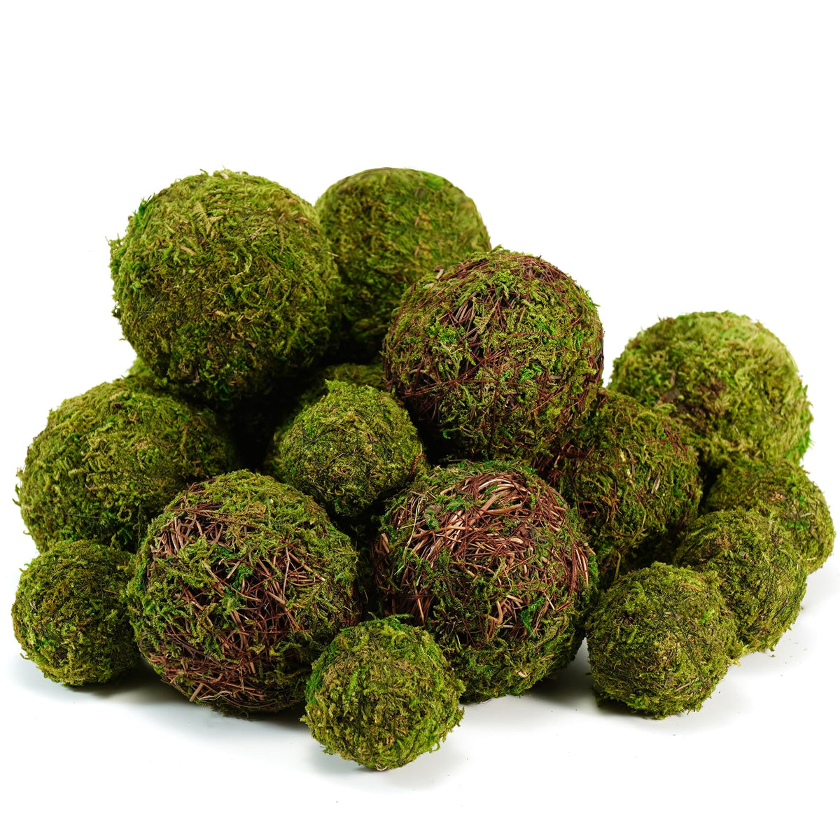 BYHER moss balls for elegant centerpieces with low-maintenance appeal.