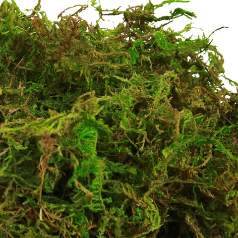 BYHER table centerpiece moss adds natural texture to weddings and events