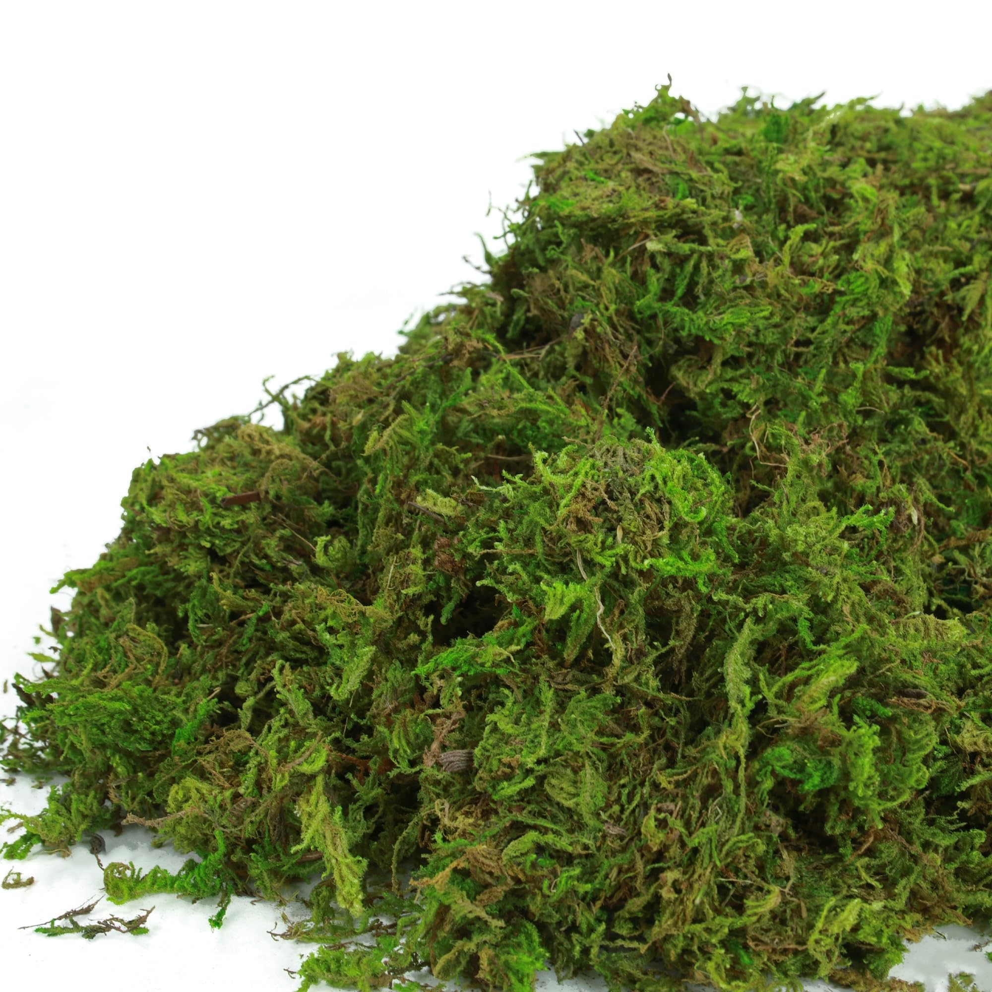 BYHER wedding decor moss stays vibrant for lasting tablescapes