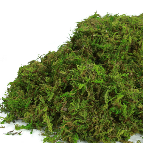 BYHER wedding decor moss stays vibrant for lasting tablescapes
