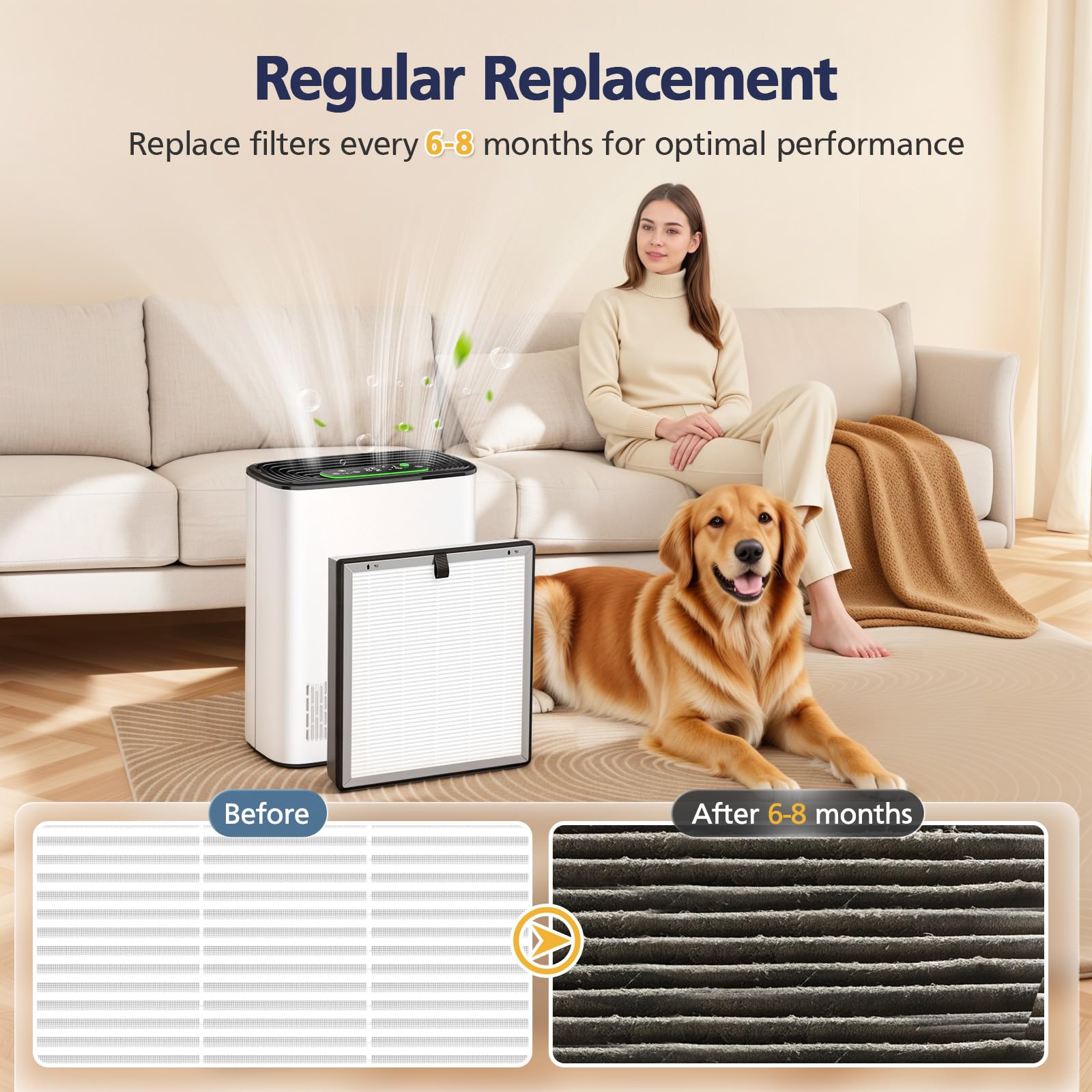 Cabiclean APH3000 filter package includes two high-quality replacements