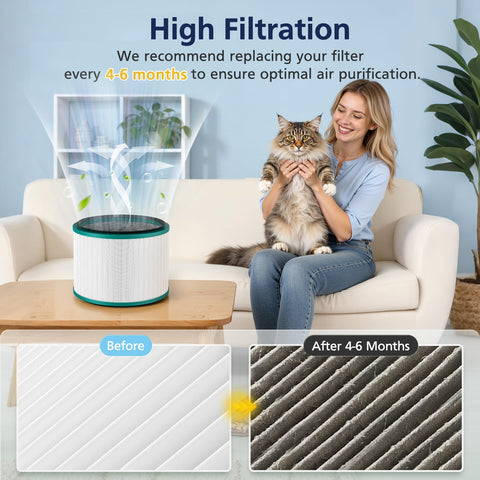 Installable filter easily slides into Dyson model without tools