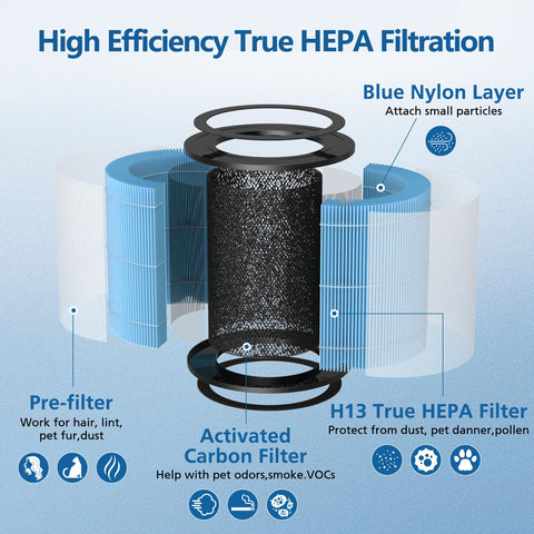Caehomly AP0601 true HEPA filter traps particles as small as 0.3 microns.