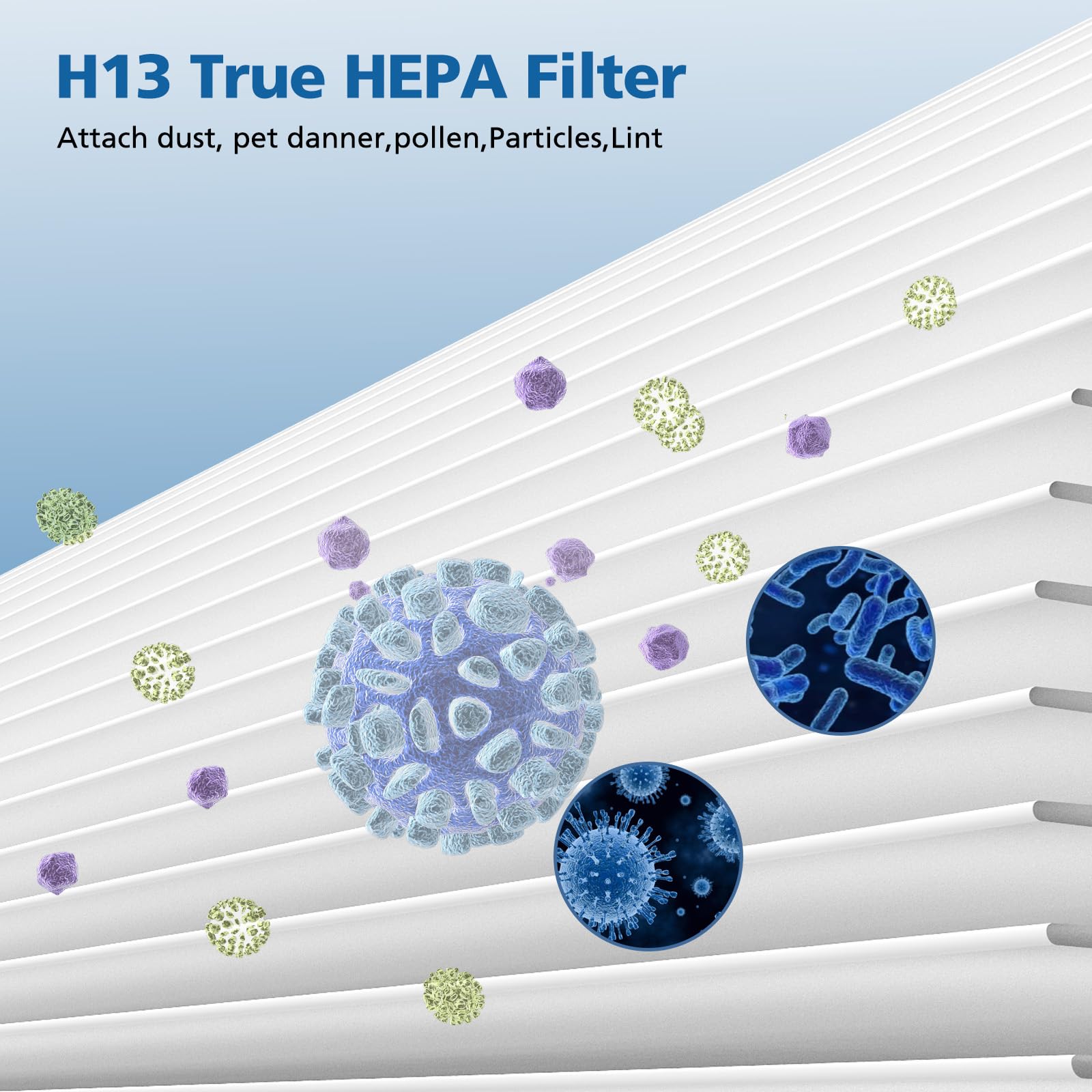 Caehomly AP0601 replacement interval of six to eight months for best results.