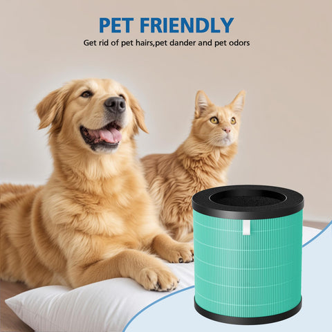 Caehomly MJ002H pet-specific filter targets pet dander and smells.