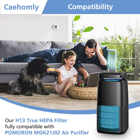 Caehomly MJ002H replacement filter back view showing multi-layer filtration.