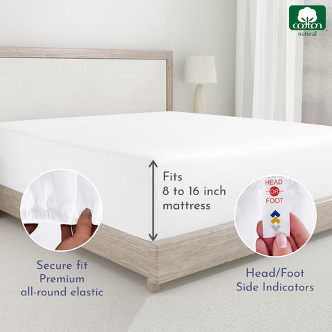 California Design Den Good Housekeeping Seal on two-pack set